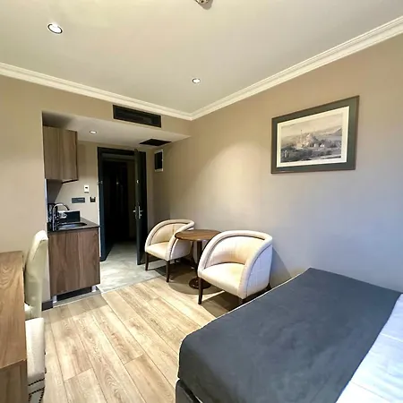 ホテル Mineo Taksim 4*