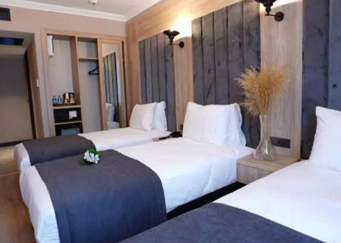 Mineo Taksim Hotel 4*