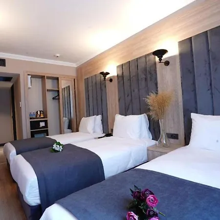 Hotel Mineo Taksim
