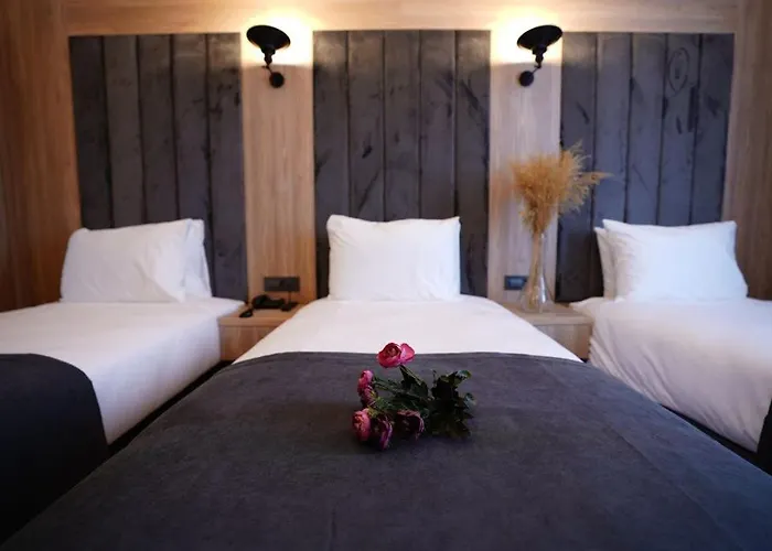 Hotel Mineo Taksim 4*