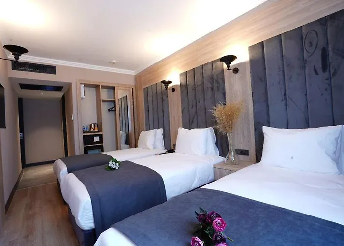Hotel Mineo Taksim