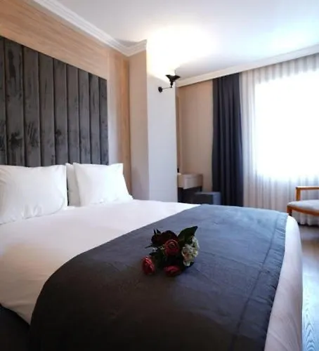 Mineo Taksim 4* איסטמבול