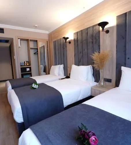 Mineo Taksim Hotel Istanbul