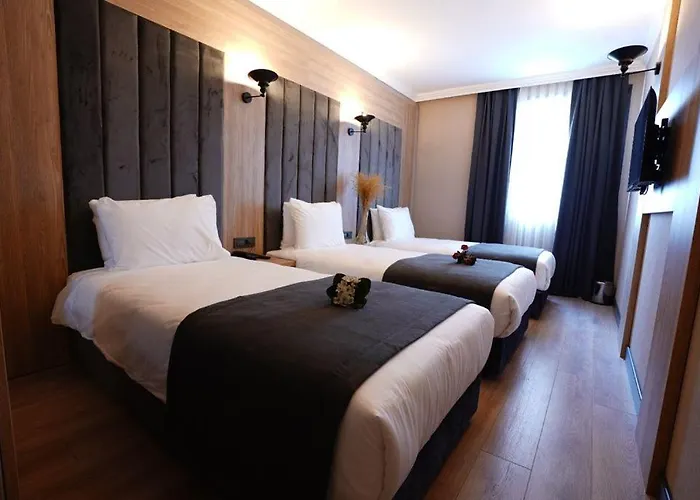 Mineo Taksim Hotel Istanbul