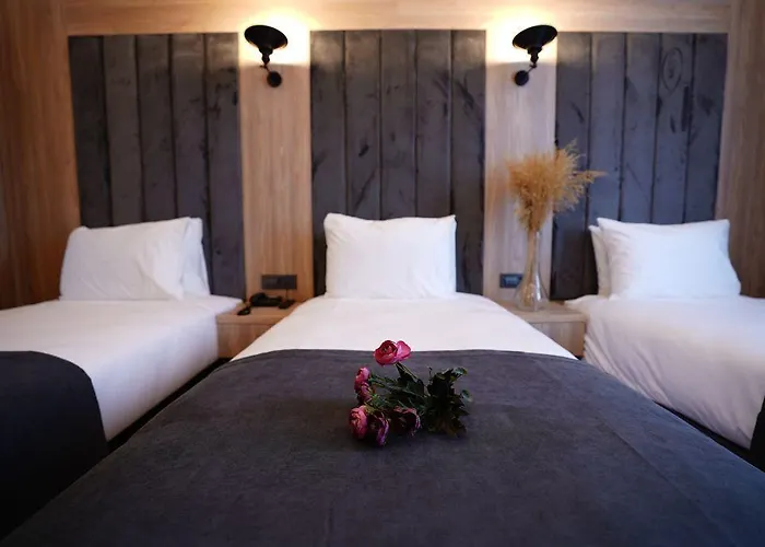 מלון Mineo Taksim 4*