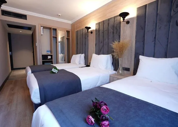 Hotel Mineo Taksim