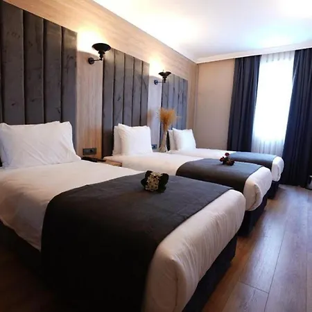 Hotel Mineo Taksim 4*